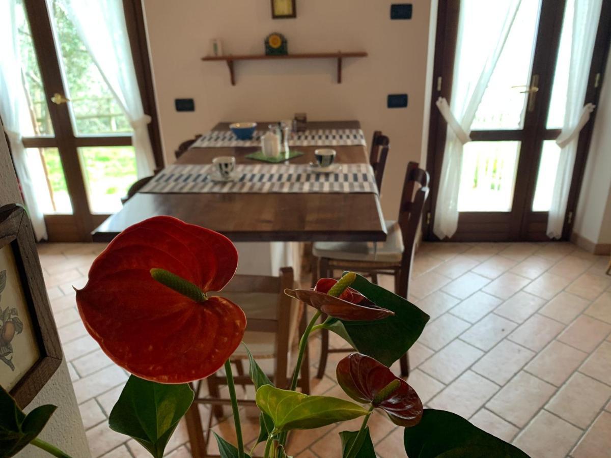 גרגננו Villa Panorama מראה חיצוני תמונה